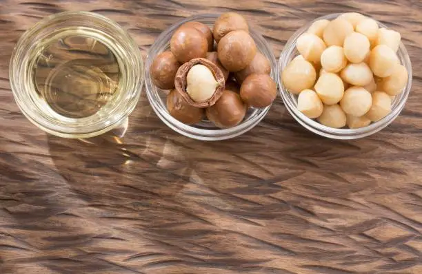 Oil and macadamia nuts - Macadamia integrifolia