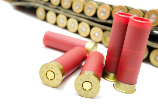 istock ammunition; for shotguns to hunt in the wild 1124503477