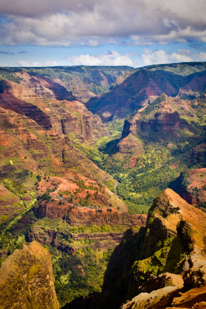 waimea canyon national state park of kauai island, hawaii - waimea canyon state park imagens e fotografias de stock