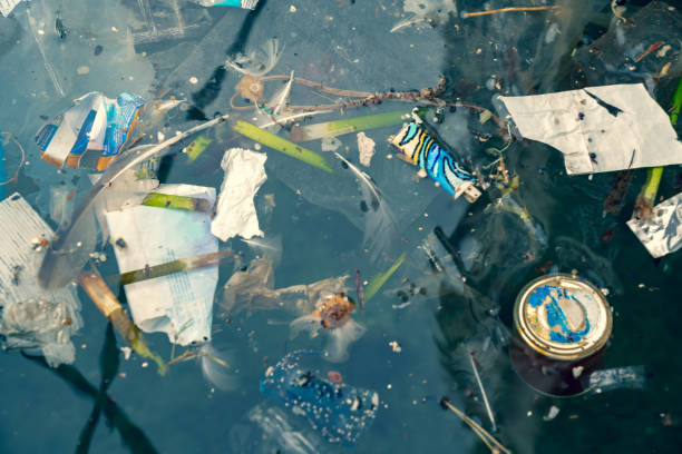 istock Plastic bags and other polluting waste floating in sea 1124505379