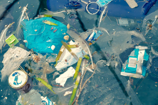 istock Plastic bags and other polluting waste floating in sea 1124505404