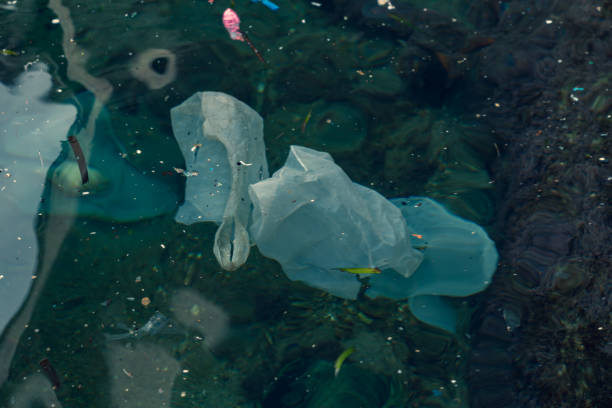 istock Plastic bags and other polluting waste floating in sea 1124505512