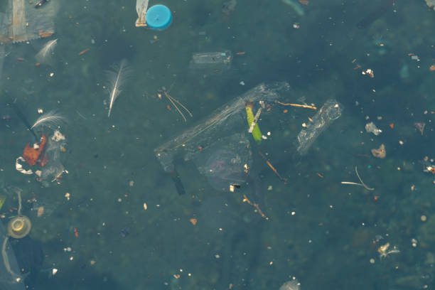 istock Plastic bags and other polluting waste floating in sea 1124505712