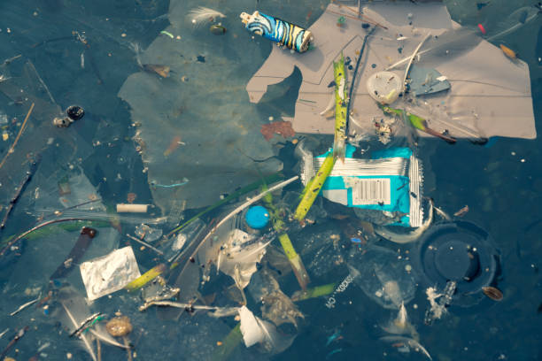 istock Plastic bags and other polluting waste floating in sea 1124505885