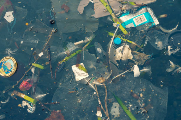 istock Plastic bags and other polluting waste floating in sea 1124505917