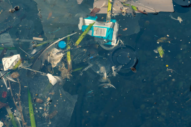 istock Plastic bags and other polluting waste floating in sea 1124505932