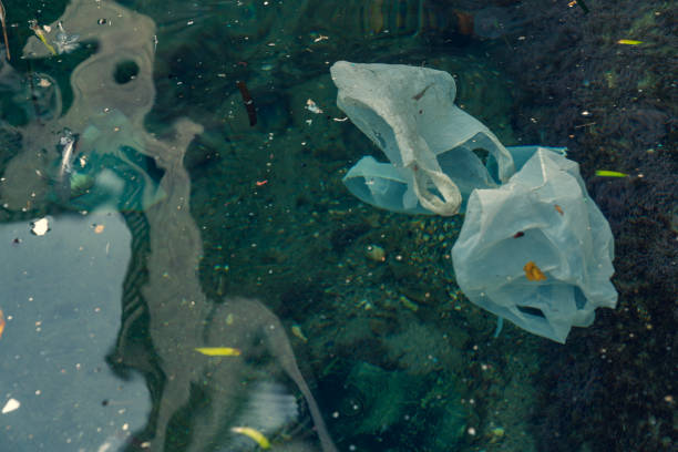 istock Plastic bags and other polluting waste floating in sea 1124506146