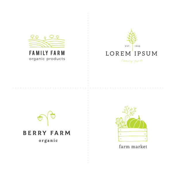 ilustrações de stock, clip art, desenhos animados e ícones de big farm label templates set. vector hand drawn objects. - homegrown produce wheat organic crop