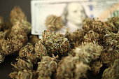 cannabis-business-konzept-medizinische-marihuana-hanf-und-geld.jpg?b=1&s=170x170&k=20&c=RG8PTlMBGPUtTaF0PGKzoAjd2vbV8Neh-BX-N1jra14=