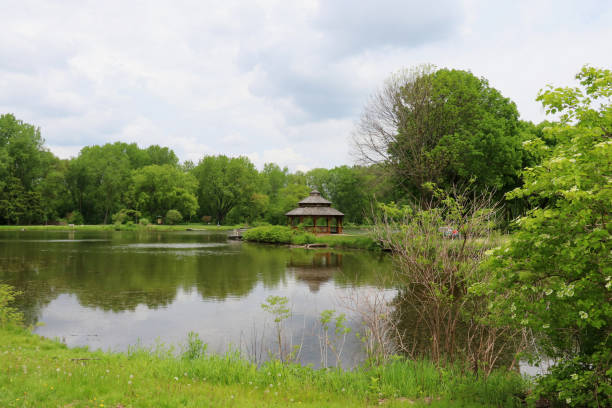 istock Midwest nature background with city park view. 1124510415