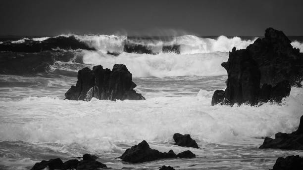 istock Waves crash along the black lava rock cliffs. 1124512432