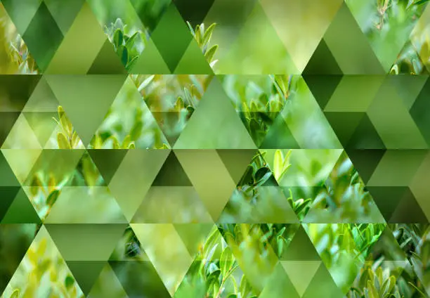 Photo of Abstract triangle mosaic background: Nature outdoors plants