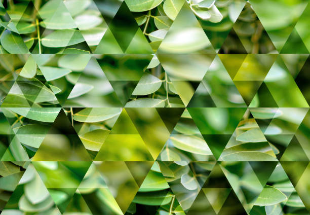 istock Abstract triangle mosaic background: Nature outdoors plants 1124513145