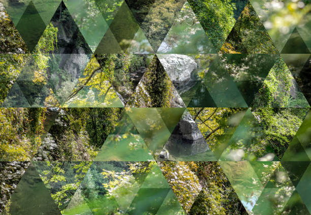 Abstract triangle mosaic background: Nature outdoors plants