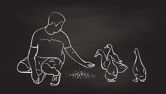 Teenage boy feeding the ducks with his hand