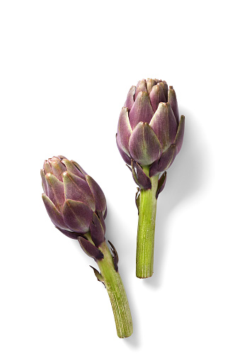 Artichokes isolated on a white background viewed from above. Top view. Copy space.