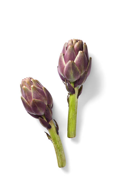 Artichokes isolated on a white background viewed from above. Top view. Copy space. stock photo