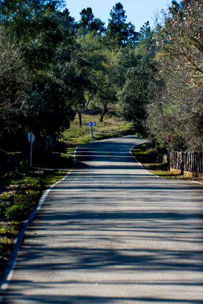istock Lonely road in the countryside 1124521062