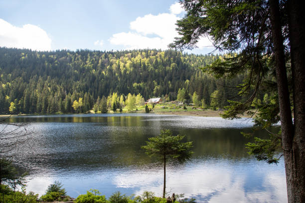 istock Landscape at the small Arbersee in Bavaria 1124521117