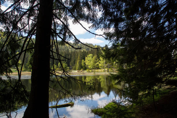 istock Landscape at the small Arbersee in Bavaria 1124521150