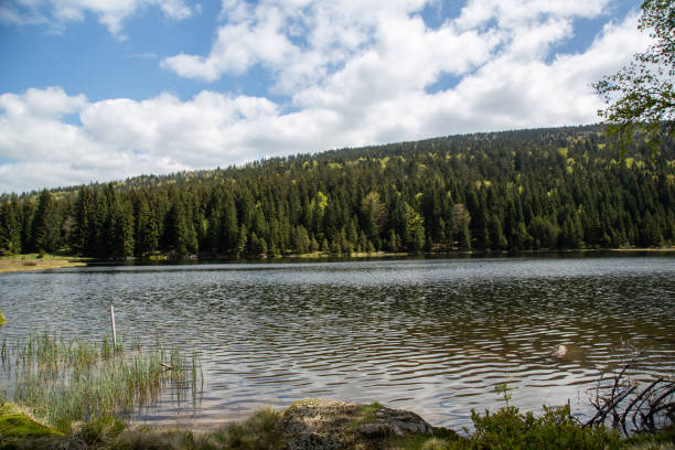istock Landscape at the small Arbersee in Bavaria 1124521188