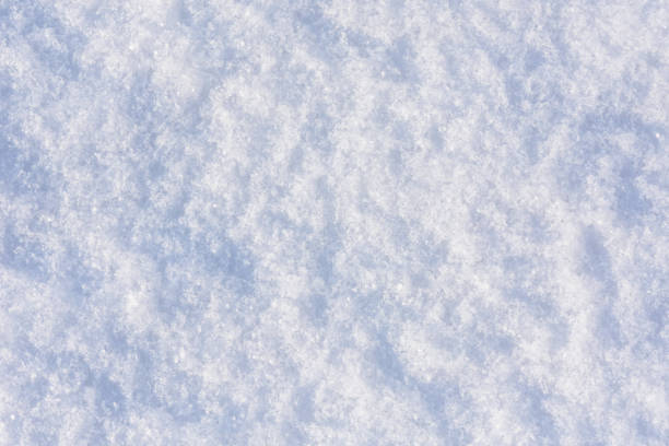 istock Texture of the white fluffy snow for background 1124522501