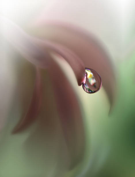 istock Beautiful spring nature blossom web banner or header. Blurred space for your text.Colorful Artistic Blue Background.Conceptual abstract image.Beautiful nature with white flowers.Floral Fantasy Design. 1124522961