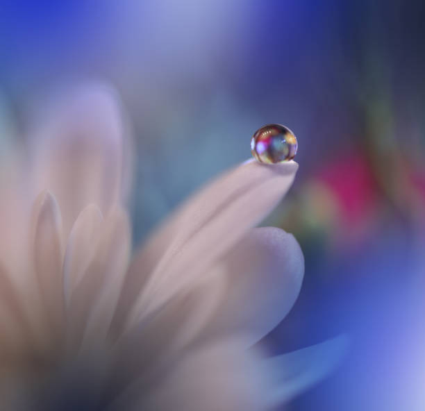 istock Beautiful spring nature blossom web banner or header. Blurred space for your text.Colorful Artistic Blue Background.Conceptual abstract image.Beautiful nature with white flowers.Floral Fantasy Design. 1124523027
