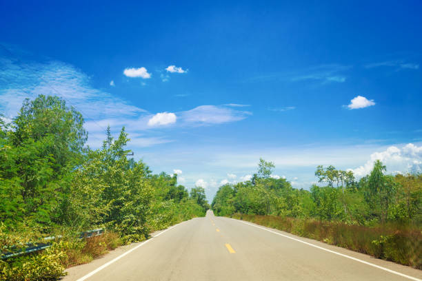 istock Road to the nature on a bright day 1124523755