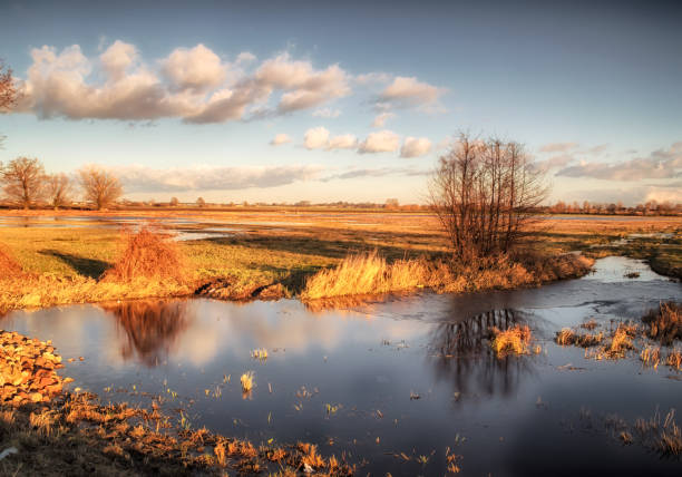 istock Early winter at the pond. 1124525329