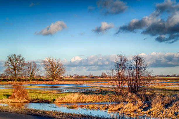 istock Early winter at the pond. 1124525357