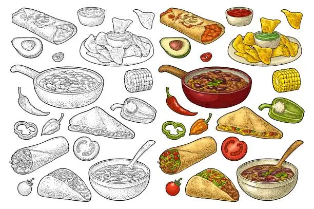 Vector illustration of Mexican traditional food set with Guacamole, Enchilada, Burrito, Tacos, Nachos