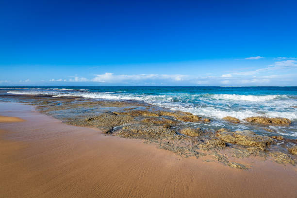 lonely coral beach on maui island, hawaii islands, usa.