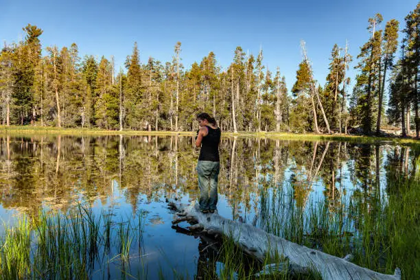 A young girl takes pictures of the lake,Yosemite National park,lake, California,USA,Nikon D3x
