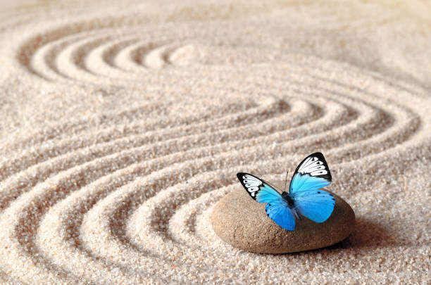 istock A blue vivid butterfly on a zen stone with circle patterns in the grain sand. 1124531242