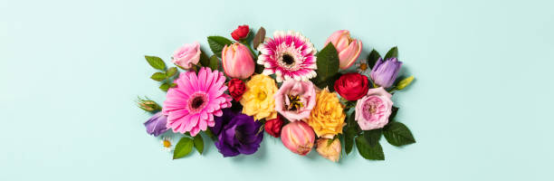 istock Creative layout made with beautiful flowers on blue background. Flat lay. Spring minimal concept 1124532328