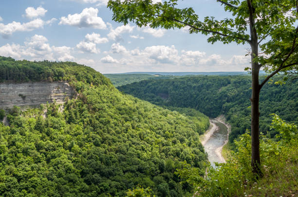 istock Summer Scene in New York's Letchworth State Park 1124534094