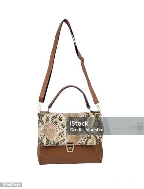 Louis Vuitton Pet Carrier With Dog Stock Photo - Download Image Now - Dog,  Luxury, Louis Vuitton - Designer Label - iStock