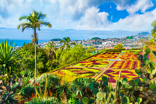 Funchal, Madeira, Portugal - March 21, 2018: Tropical Botanical Gardens in Funchal, capital of Madeira island, Portugal