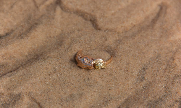 istock Golden ring lying on the sand under water 1124543384
