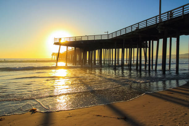 istock Surfers by Pismo Beach pier 1124545414
