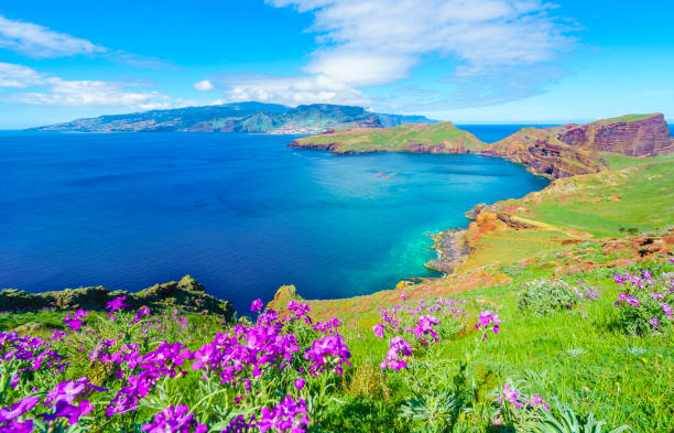 istock Sao Lourenco Tip, Madeira 1124548333