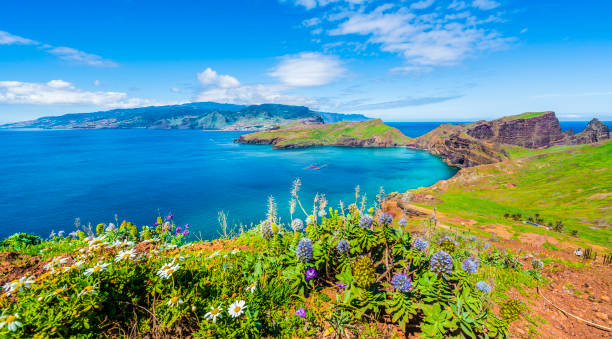 istock Landscape with Ponta de Sao Lourenco 1124548334
