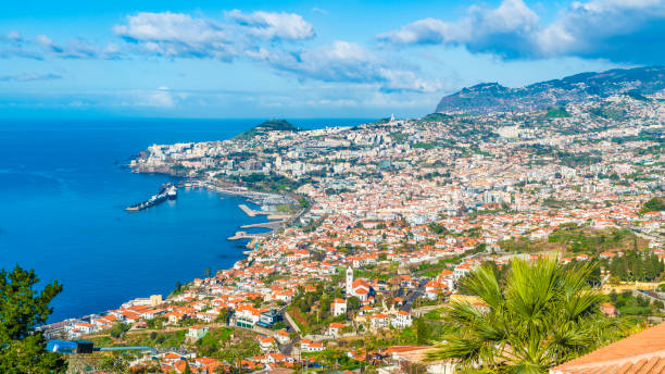 Panoramic view over Funchal, Madeira Panoramic view over Funchal, from Miradouro das Neves viewpoint, Madeira island, Portuga funchal stock pictures, royalty-free photos & images