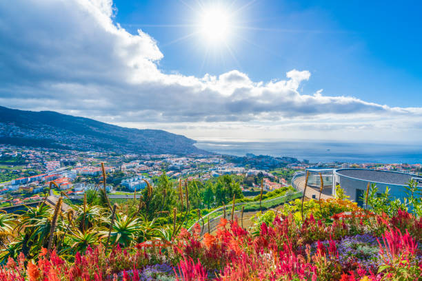 Funchal viewpoint, Madeira Panoramic view over Funchal, from Pico dos Barcelos viewpoint,in Madeira island, Portugal braga district stock pictures, royalty-free photos & images