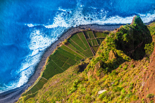 kap girao, madeira - stone nature eroded cliff stock-fotos und bilder