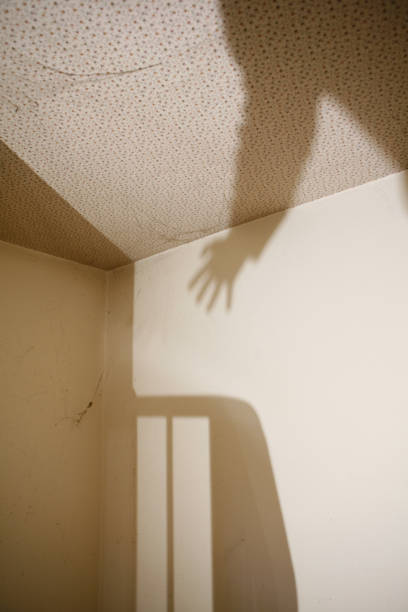 istock Shadow of a Man on a Wall 1124554201