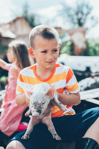 istock Little boy holding a piglet 1124554700