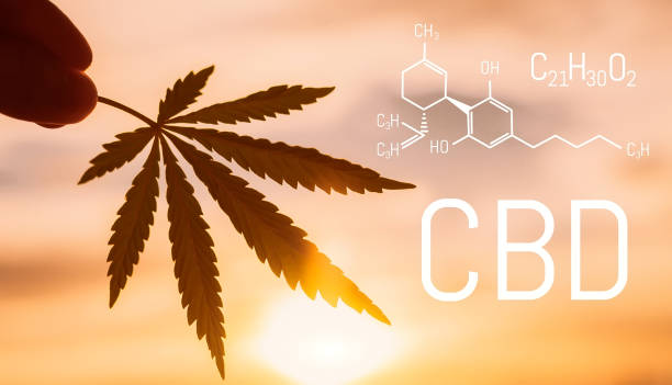 istock CBD medical marijuana element. Molecular structures, chemical formula of Cannabidiol. Growing cannabis 1124558697