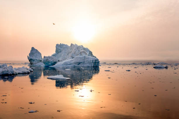 istock Iceberg in the sunset on beautiful sea 1124563086
